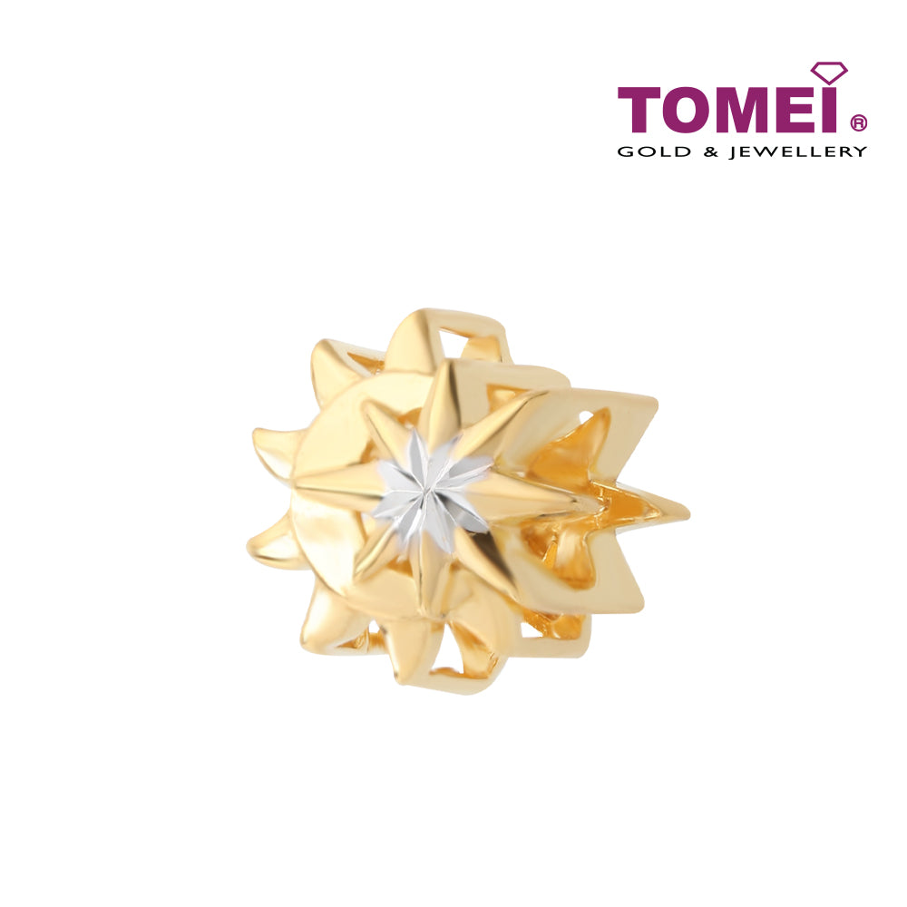 TOMEI Star and Moon Charm, Yellow Gold 916