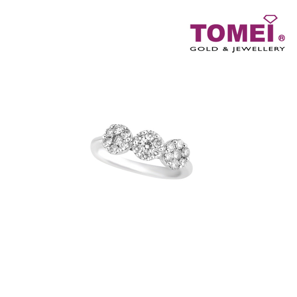 TOMEI Ring, Diamond White Gold 750 (R1978)