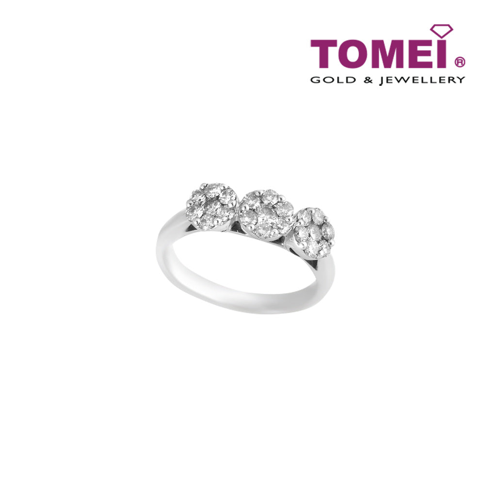 TOMEI Ring, Diamond White Gold 750 (R1978)