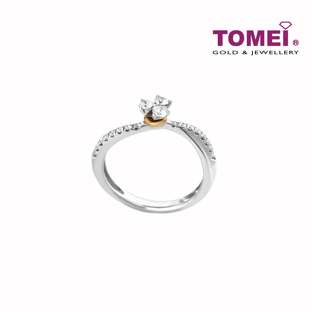 TOMEI Ring, Diamond White Gold 750 (DO0125296)
