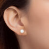 1100x762px_24July_0015_DC-YG1332E-2C TOMEI Diamond Cut Collection Solitaire Earrings, Yellow Gold 916