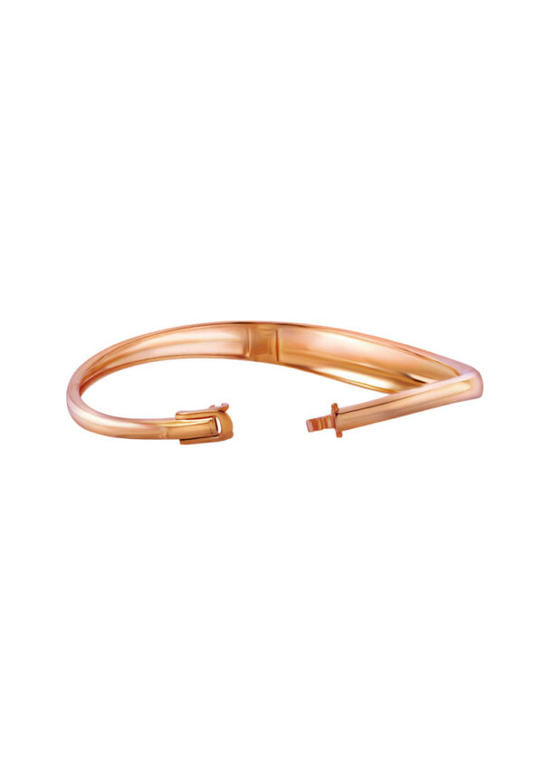 762x1100_0027_9L-YG1765B-RC_3 TOMEI High Polishing Bangle, Yellow Gold 916