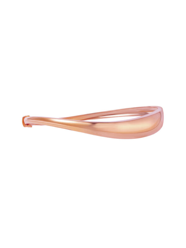 762x1100_0028_9L-YG1765B-RC_2-1 TOMEI High Polishing Bangle, Yellow Gold 916