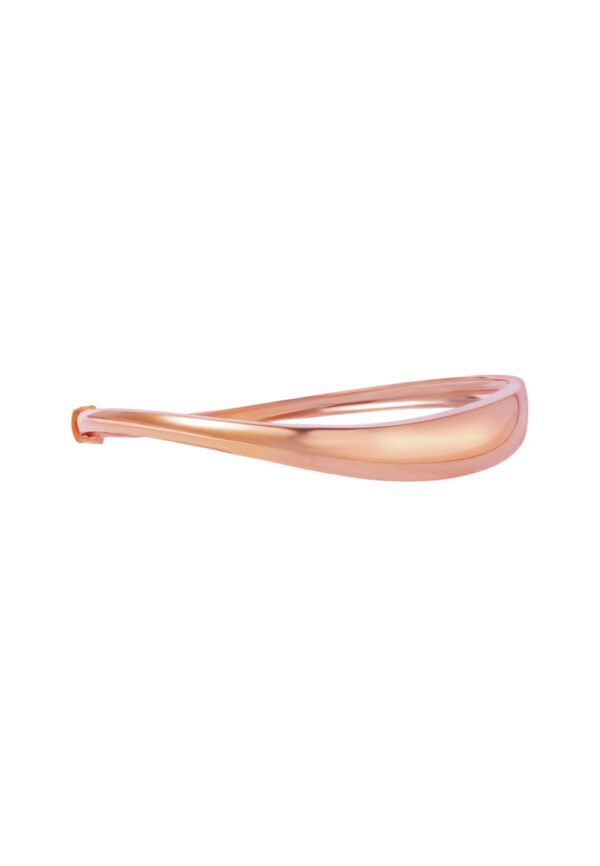 762x1100_0028_9L-YG1765B-RC_2-1 TOMEI High Polishing Bangle, Yellow Gold 916