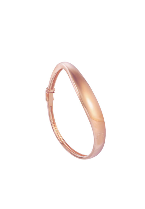 762x1100_0029_9L-YG1765B-RC TOMEI High Polishing Bangle, Yellow Gold 916